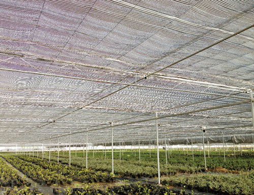 北方最大的遮阳网（盖地网、种植网、养殖网）生产厂家-骏马遮阳网